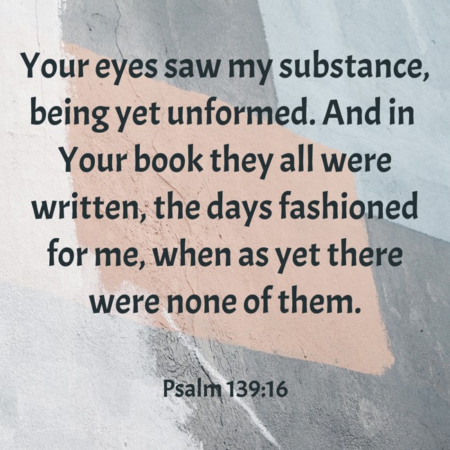 Your eyes saw my substance, being yet unformed. And in Your book they all were written, the days fashioned for me, when as yet there were none of them. - Psalm 139:16
