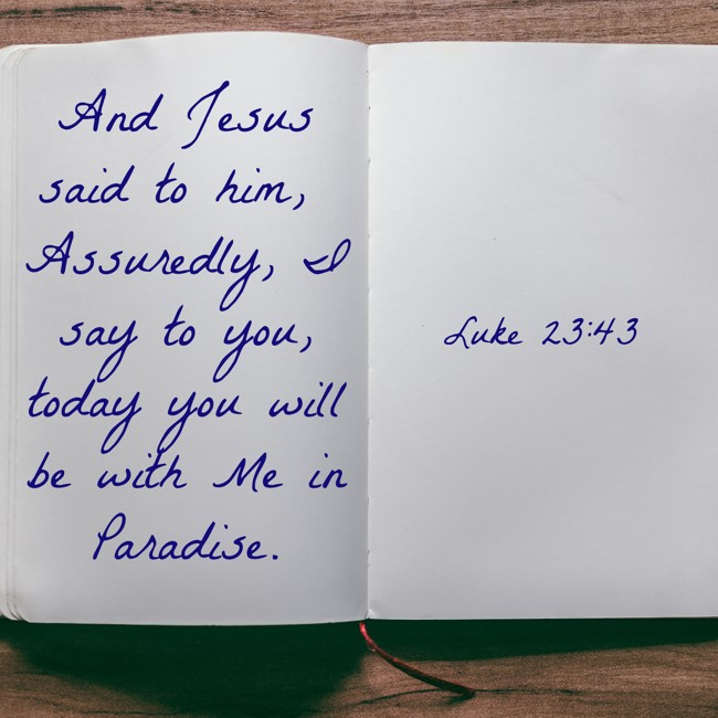 And Jesus said to him, Assuredly, I say to you, today you will be with Me in Paradise. - Luke 23:43