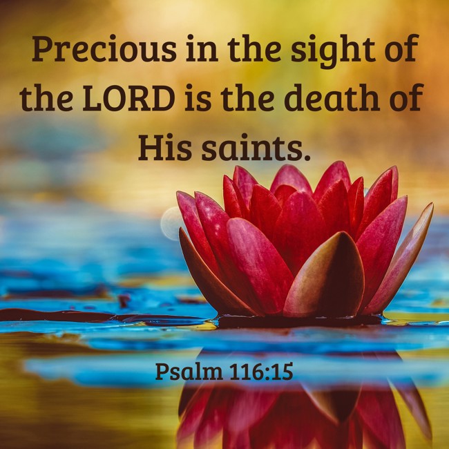 Precious in the sight of the LORD is the death of His saints. - Psalm 116:15
