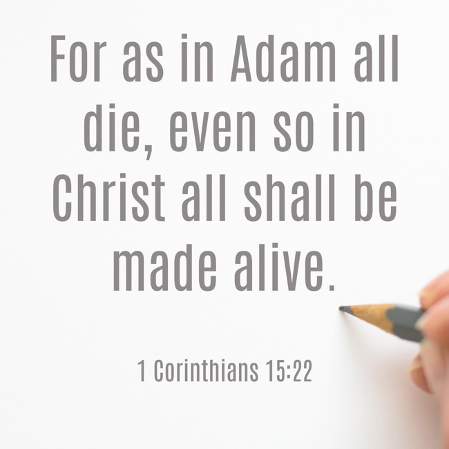 For as in Adam all die, even so in Christ all shall be made alive. - 1 Corinthians 15:22