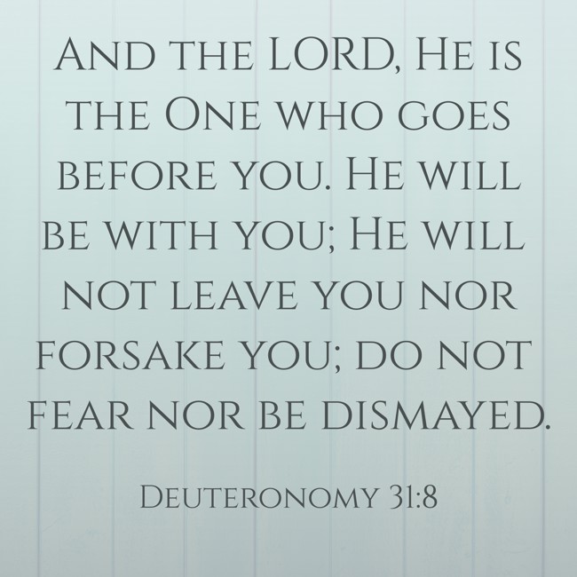 And the LORD, He is the One who goes before you. He will be with you; He will not leave you nor forsake you; do not fear nor be dismayed. - Deuteronomy 31:8