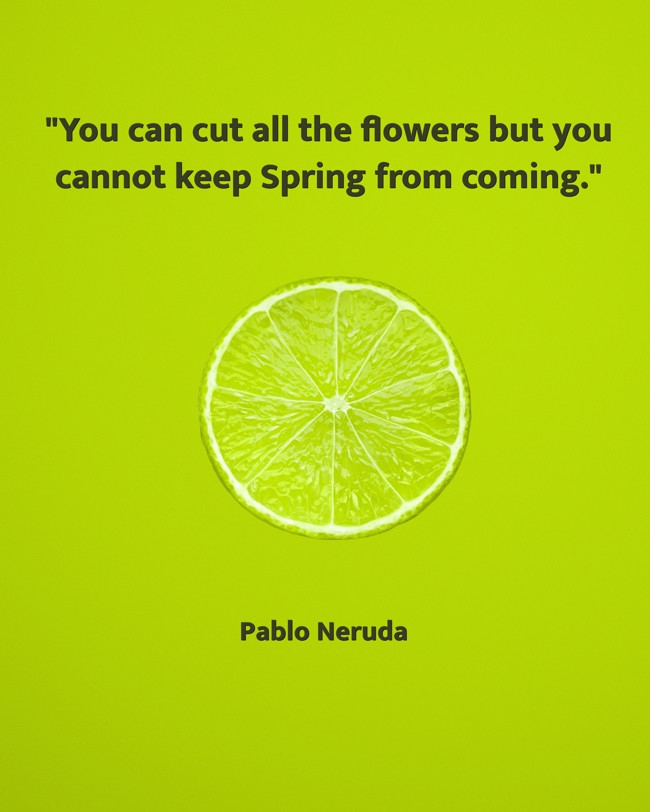 You can cut all the flowers but you cannot keep Spring from coming. - Pablo Neruda