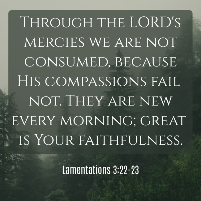 Through the LORD's mercies we are not consumed, because His compassions fail not. They are new every morning; great is Your faithfulness. - Lamentations 3:22-23