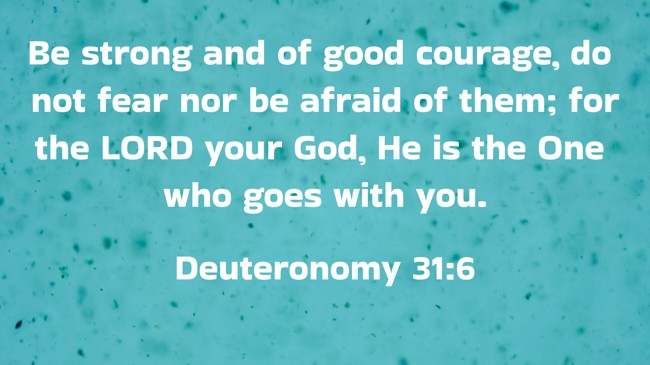 Be strong and of good courage, do not fear nor be afraid of them; for the LORD your God, He is the One who goes with you. - Deuteronomy 31:6
