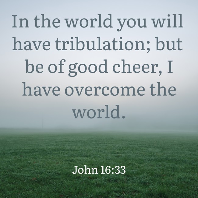 In the world you will have tribulation; but be of good cheer, I have overcome the world. - John 16:33