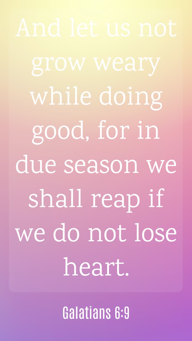 And let us not grow weary while doing good, for in due season we shall reap if we do not lose heart. - Galatians 6:9