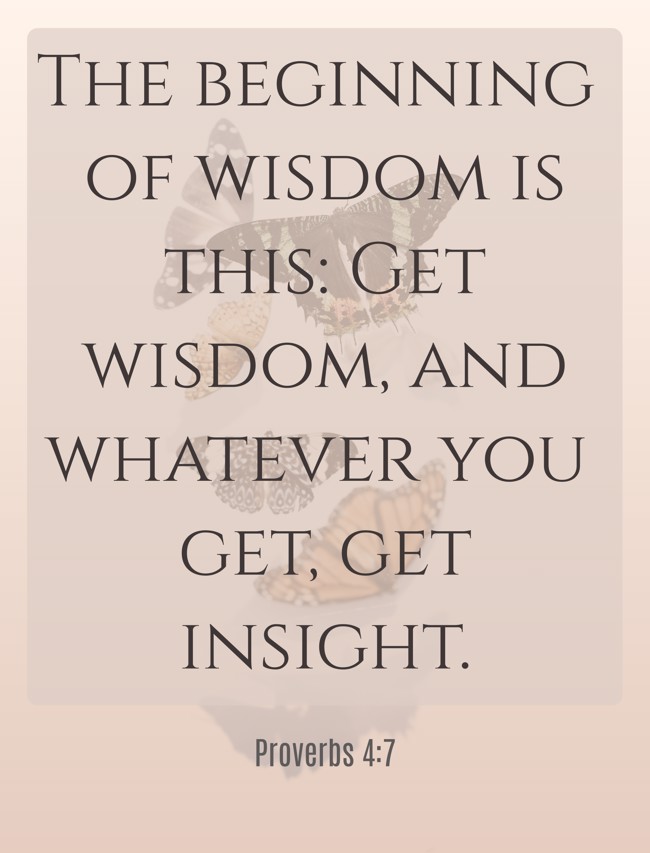 The beginning of wisdom is this: Get wisdom, and whatever you get, get insight. - Proverbs 4:7