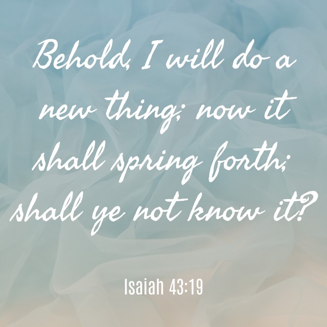 Behold, I will do a new thing; now it shall spring forth; shall ye not know it? - Isaiah 43:19