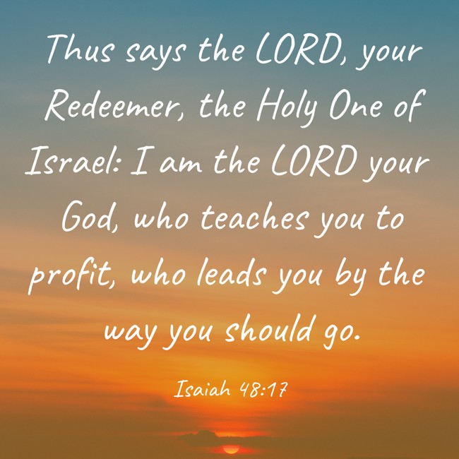Thus says the LORD, your Redeemer, the Holy One of Israel: I am the LORD your God, who teaches you to profit, who leads you by the way you should go. - Isaiah 48:17
