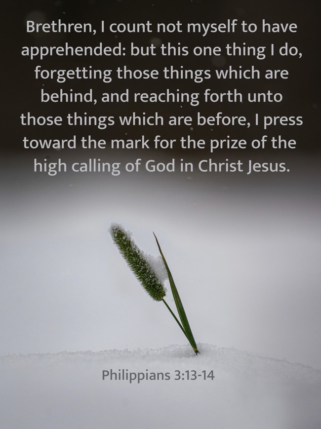 Brethren, I count not myself to have apprehended: but this one thing I do, forgetting those things which are behind, and reaching forth unto those things which are before, I press toward the mark for the prize of the high calling of God in Christ Jesus. - Philippians 3:13-14