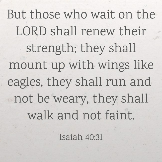 But those who wait on the LORD shall renew their strength; they shall mount up with wings like eagles, they shall run and not be weary, they shall walk and not faint. - Isaiah 40:31