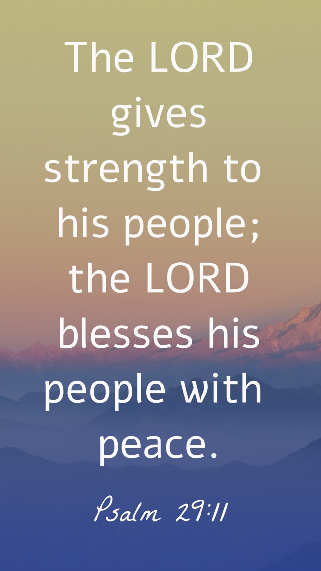 The LORD gives strength to his people; the LORD blesses his people with peace. - Psalm 29:11