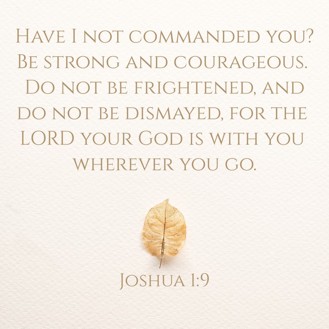 Have I not commanded you? Be strong and courageous. Do not be frightened, and do not be dismayed, for the LORD your God is with you wherever you go. - Joshua 1:9