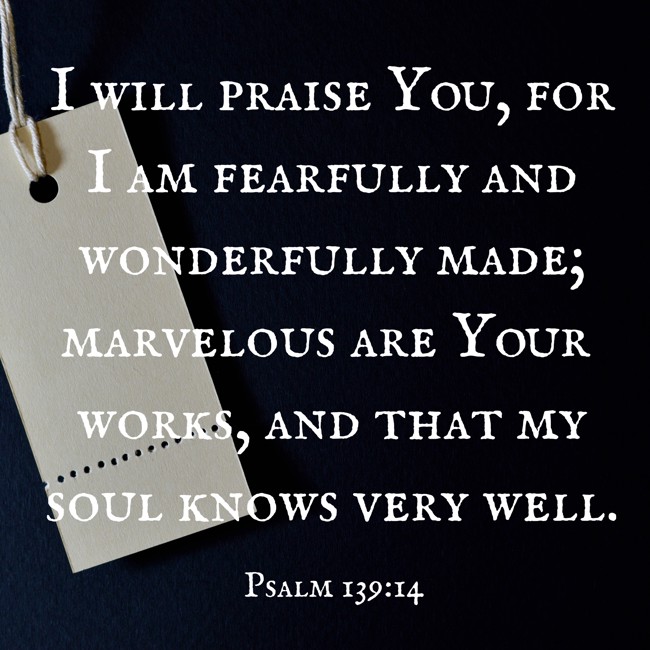 I will praise You, for I am fearfully and wonderfully made; marvelous are Your works, and that my soul knows very well. - Psalm 139:14