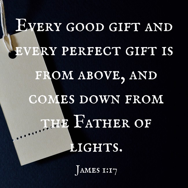 Every good gift and every perfect gift is from above, and comes down from the Father of lights. - James 1:17