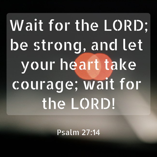  Wait for the LORD; be strong, and let your heart take courage; wait for the LORD!   - Psalm 27:14 