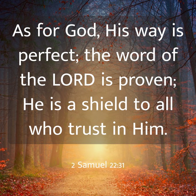 As for God, His way is perfect; the word of the LORD is proven; He is a shield to all who trust in Him. - 2 Samuel 22:31