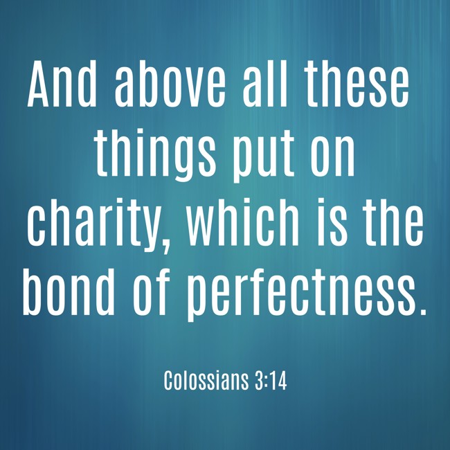 And above all these things put on charity, which is the bond of perfectness. - Colossians 3:14