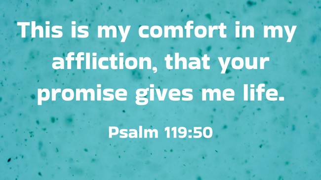 This is my comfort in my affliction, that your promise gives me life. - Psalm 119:50