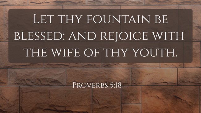 Let thy fountain be blessed: and rejoice with the wife of thy youth. - Proverbs 5:18