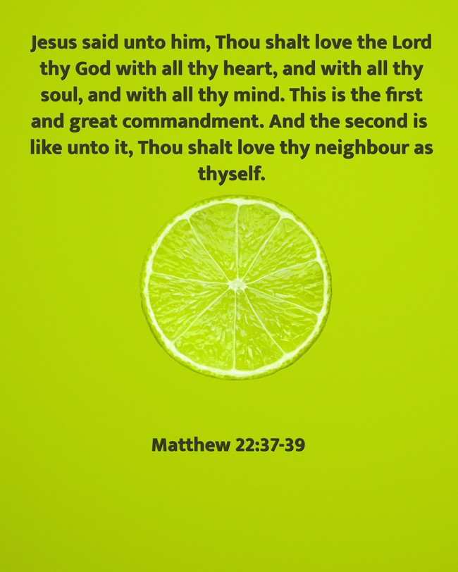 Jesus said unto him, Thou shalt love the Lord thy God with all thy heart, and with all thy soul, and with all thy mind. This is the first and great commandment. And the second is like unto it, Thou shalt love thy neighbour as thyself. - Matthew 22:37-39