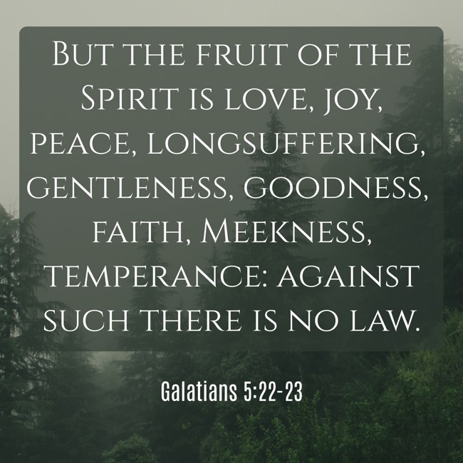 But the fruit of the Spirit is love, joy, peace, longsuffering, gentleness, goodness, faith, Meekness, temperance: against such there is no law. - Galatians 5:22-23