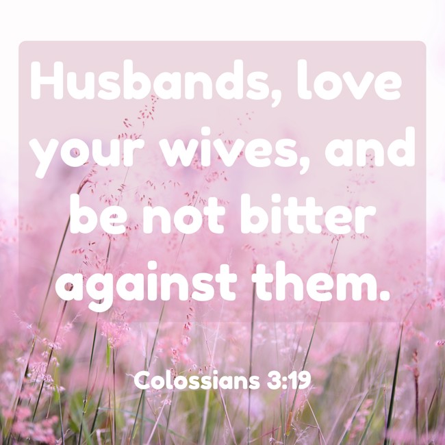 Husbands, love your wives, and be not bitter against them. - Colossians 3:19