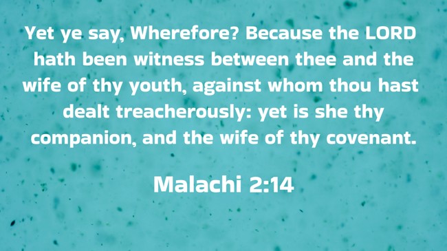 Yet ye say, Wherefore? Because the LORD hath been witness between thee and the wife of thy youth, against whom thou hast dealt treacherously: yet is she thy companion, and the wife of thy covenant. - Malachi 2:14
