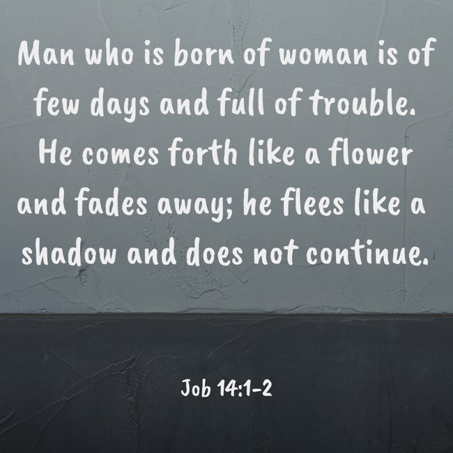 Man who is born of woman is of few days and full of trouble. He comes forth like a flower and fades away; he flees like a shadow and does not continue. - Job 14:1-2