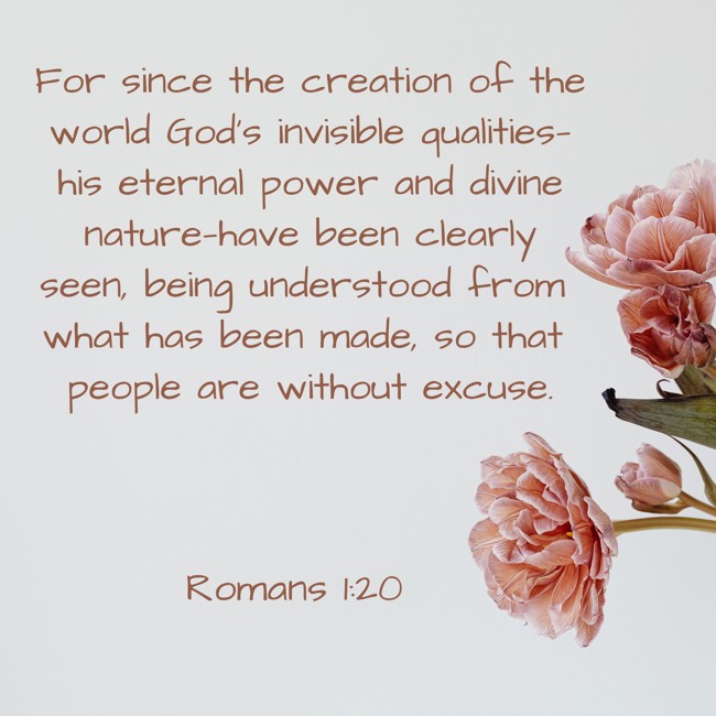For since the creation of the world God's invisible qualities—his eternal power and divine nature—have been clearly seen, being understood from what has been made, so that people are without excuse. - Romans 1:20
