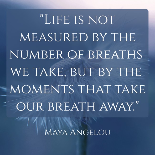 Life is not measured by the number of breaths we take, but by the moments that take our breath away. - Maya Angelou