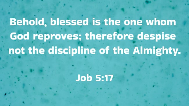 Behold, blessed is the one whom God reproves; therefore despise not the discipline of the Almighty. - Job 5:17