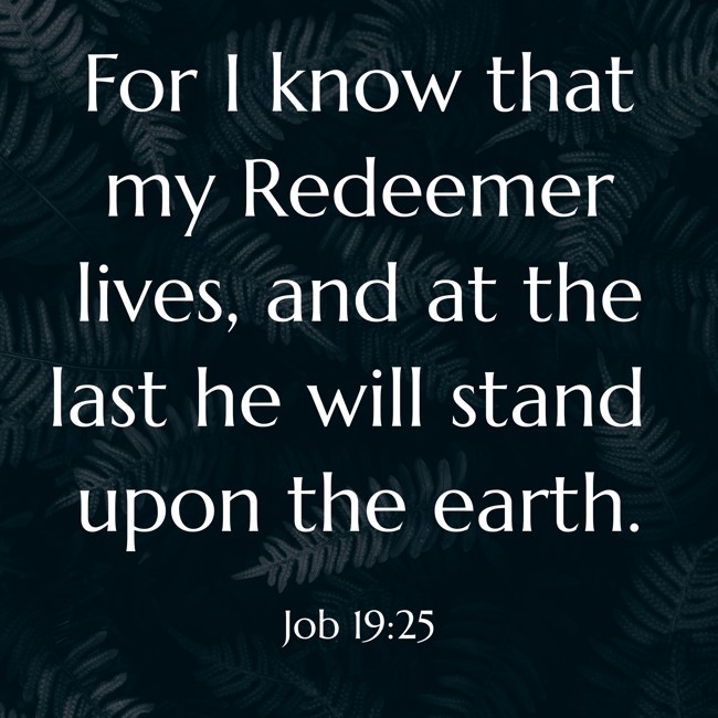 For I know that my Redeemer lives, and at the last he will stand upon the earth. - Job 19:25