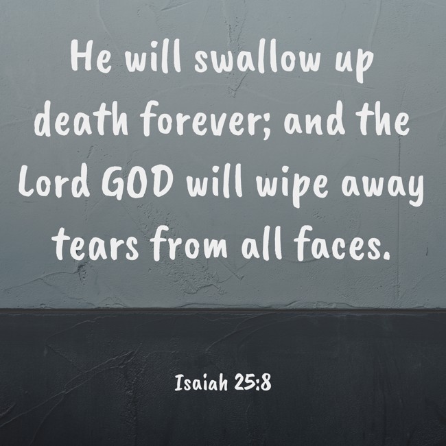 He will swallow up death forever; and the Lord GOD will wipe away tears from all faces. - Isaiah 25:8