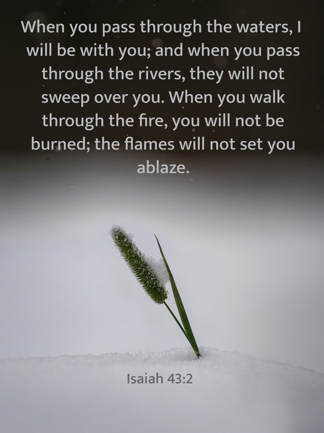 When you pass through the waters, I will be with you; and when you pass through the rivers, they will not sweep over you. When you walk through the fire, you will not be burned; the flames will not set you ablaze. - Isaiah 43:2