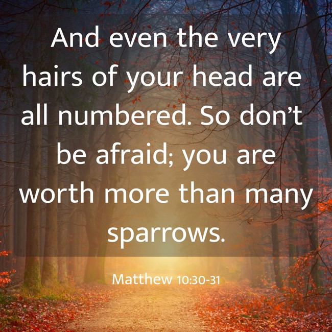 And even the very hairs of your head are all numbered. So don’t be afraid; you are worth more than many sparrows. - Matthew 10:30-31