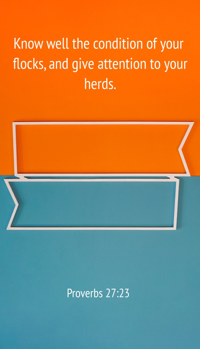 Know well the condition of your flocks, and give attention to your herds. - Proverbs 27:23