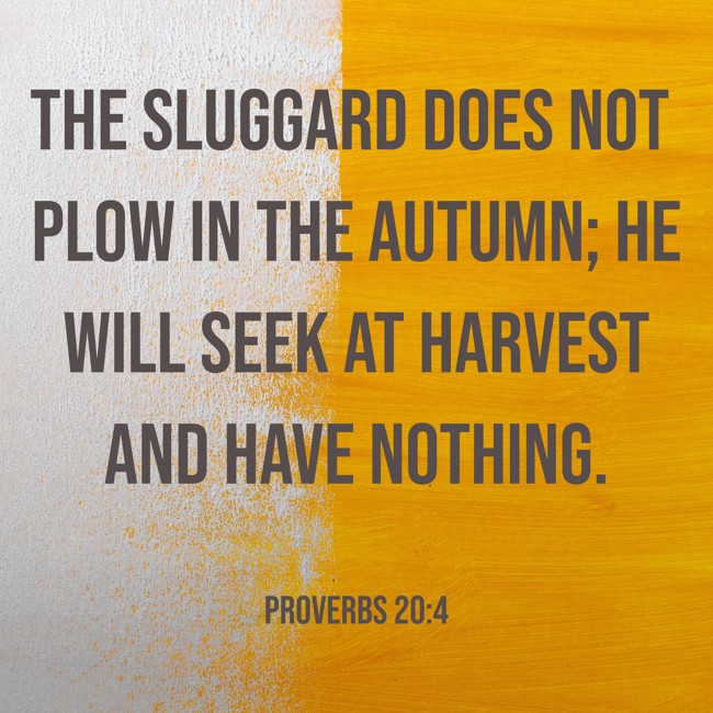 The sluggard does not plow in the autumn; he will seek at harvest and have nothing. - Proverbs 20:4