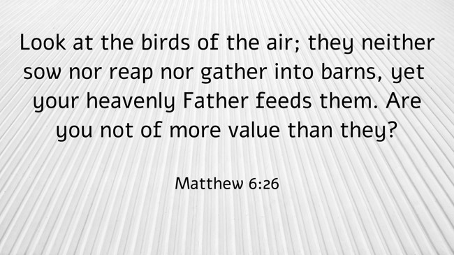 Look at the birds of the air; they neither sow nor reap nor gather into barns, yet your heavenly Father feeds them. Are you not of more value than they? - Matthew 6:26