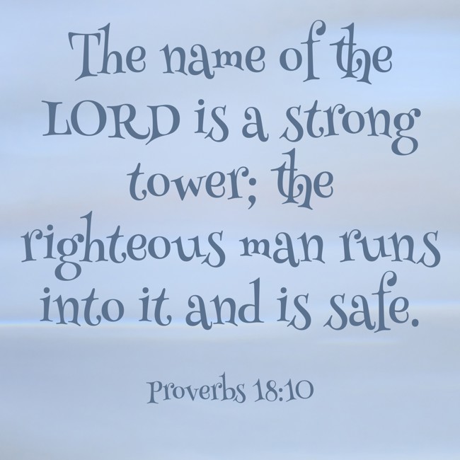The name of the LORD is a strong tower; the righteous man runs into it and is safe. - Proverbs 18:10