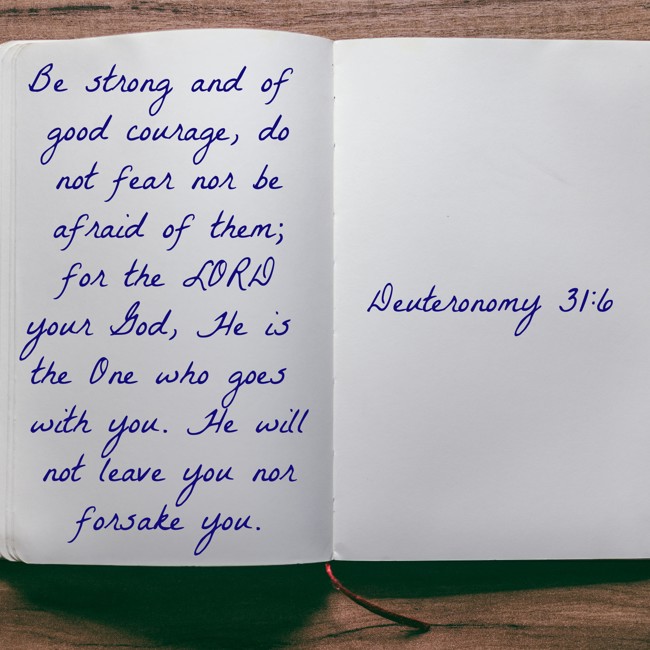 Be strong and of good courage, do not fear nor be afraid of them; for the LORD your God, He is the One who goes with you. He will not leave you nor forsake you. - Deuteronomy 31:6