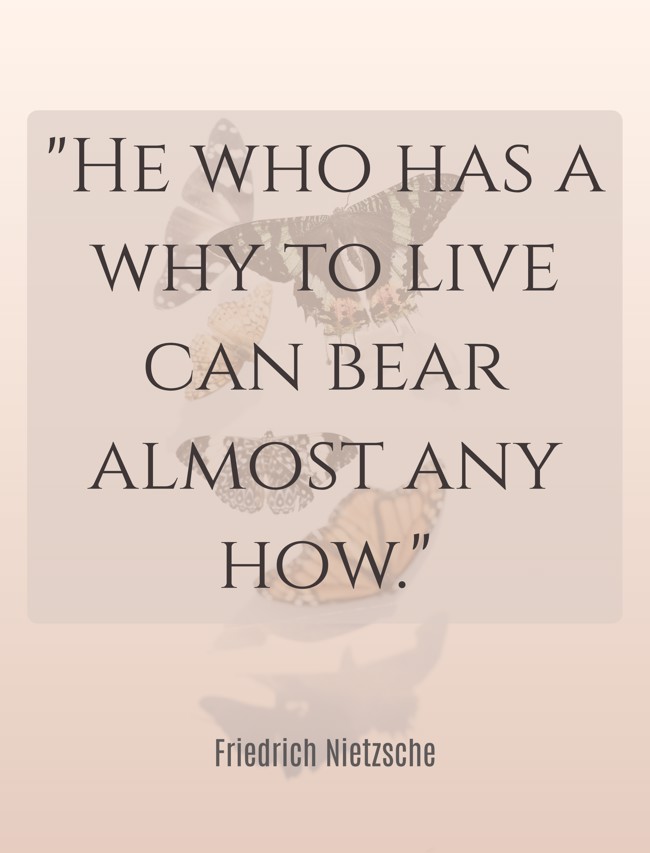 He who has a why to live can bear almost any how. - Friedrich Nietzsche