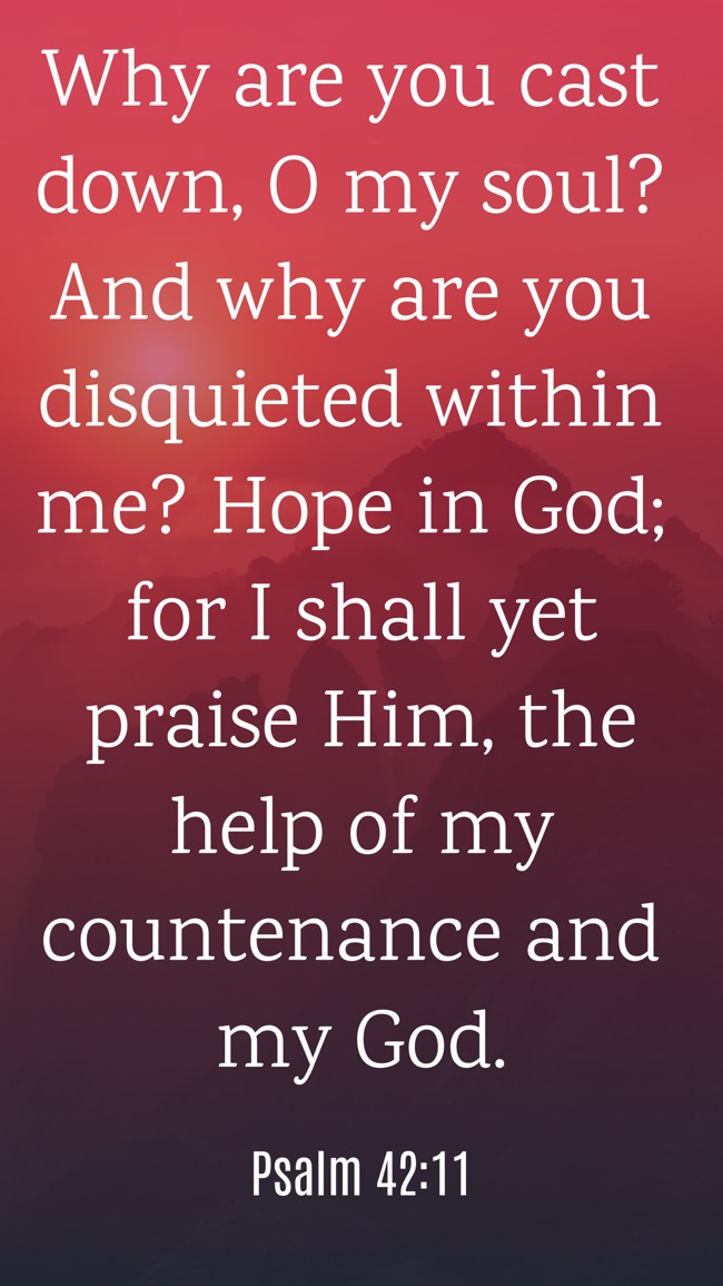 Why are you cast down, O my soul? And why are you disquieted within me? Hope in God; for I shall yet praise Him, the help of my countenance and my God. - Psalm 42:11
