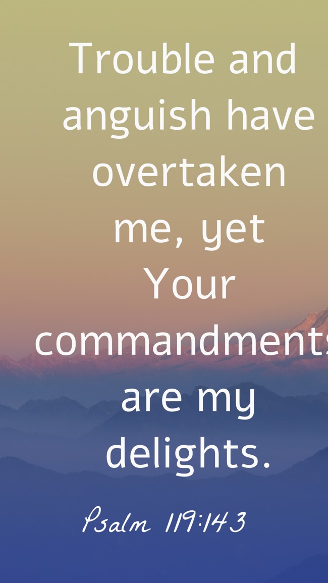 Trouble and anguish have overtaken me, yet Your commandments are my delights. - Psalm 119:143
