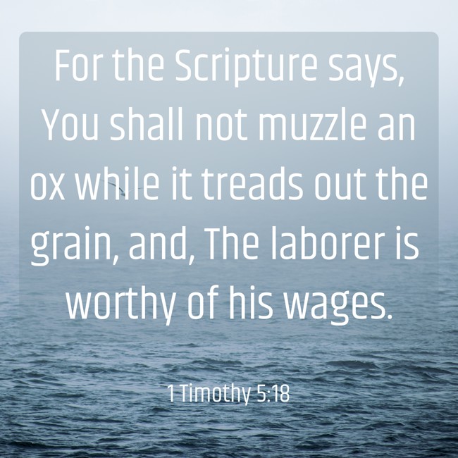 For the Scripture says, You shall not muzzle an ox while it treads out the grain, and, The laborer is worthy of his wages. - 1 Timothy 5:18