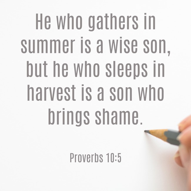 He who gathers in summer is a wise son, but he who sleeps in harvest is a son who brings shame. - Proverbs 10:5