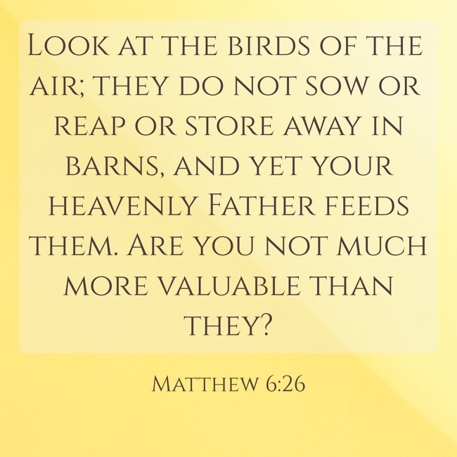 Look at the birds of the air; they do not sow or reap or store away in barns, and yet your heavenly Father feeds them. Are you not much more valuable than they? - Matthew 6:26