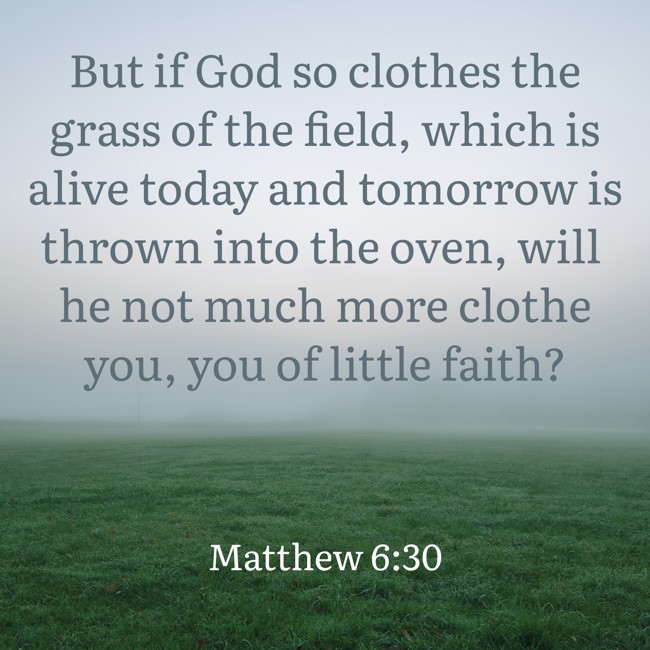 But if God so clothes the grass of the field, which is alive today and tomorrow is thrown into the oven, will he not much more clothe you, you of little faith? - Matthew 6:30