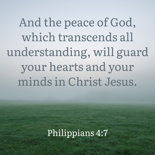 And the peace of God, which transcends all understanding, will guard your hearts and your minds in Christ Jesus. - Philippians 4:7
