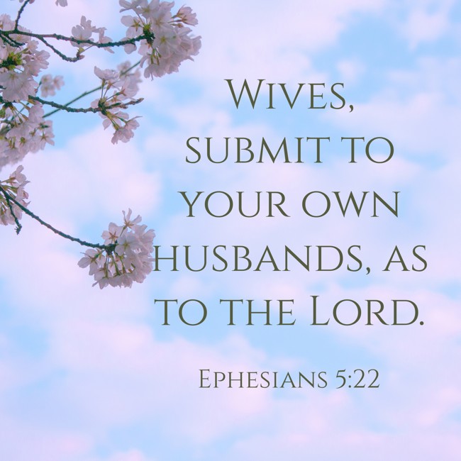 Wives, submit to your own husbands, as to the Lord. - Ephesians 5:22